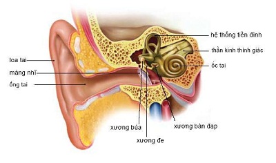 benh-roi-loan-tien-dinh-va-cach-chua-tri-1